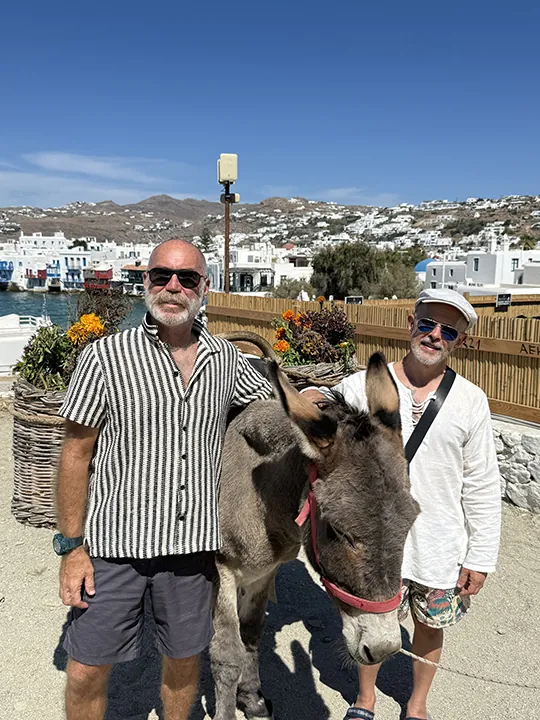 A traditional donkey in Mykonos