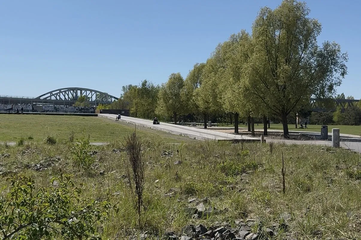 A wild meadow under the old steel railway bridge of Gleisdreieck, where freight yards once ran into Anhalter and Potsdamer terminals