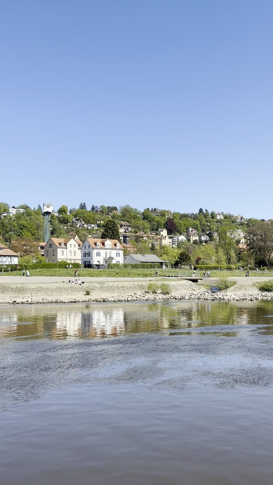 The Elbe in Dresden, with villas on the green hillside above the river
