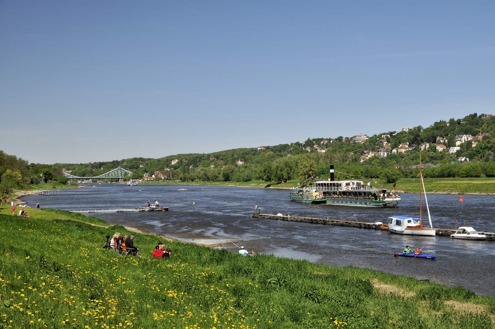 A paddle steamer on the Elbe below the Loschwitz hills, with the Blue Wonder bridge in the distance, Dresden