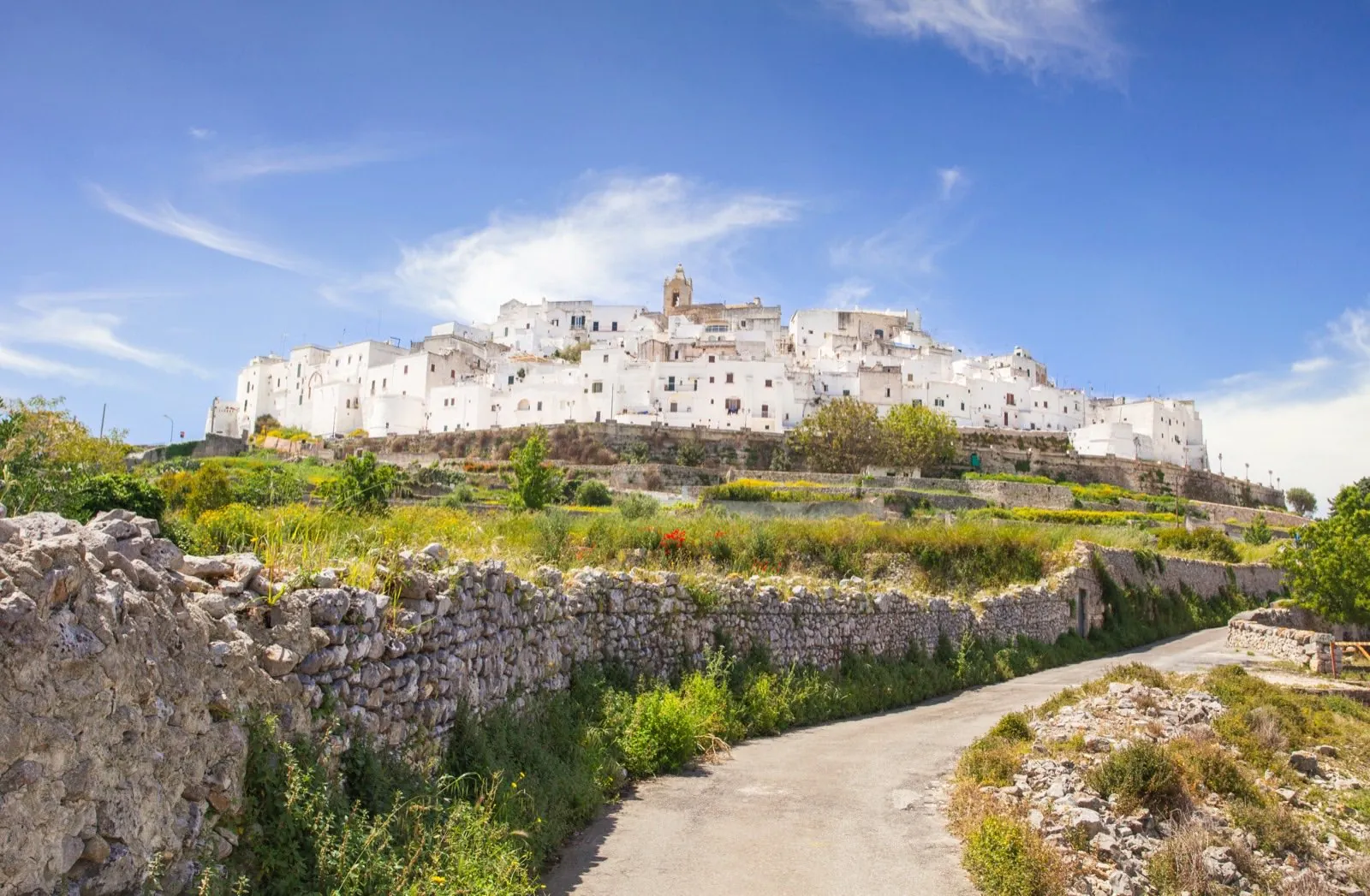 Ostuni, the White City, rising above the olive groves in Puglia